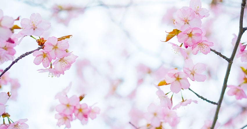 進学情報サイト